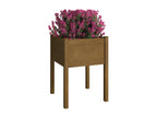 2-piece planters, honey brown, 50x50x70 cm, solid pine wood, PNAG14610